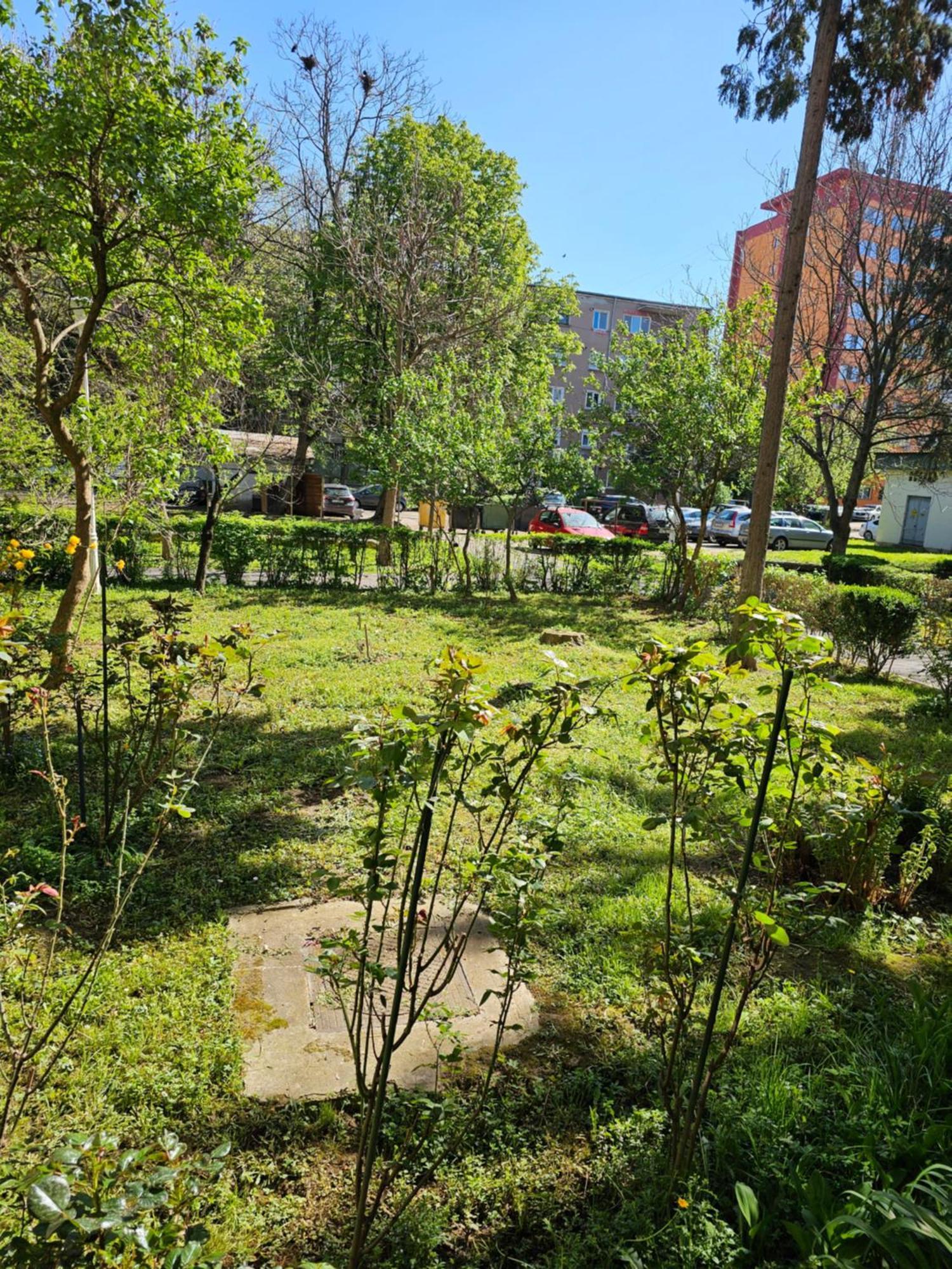 Apartament Alina Deva Esterno foto